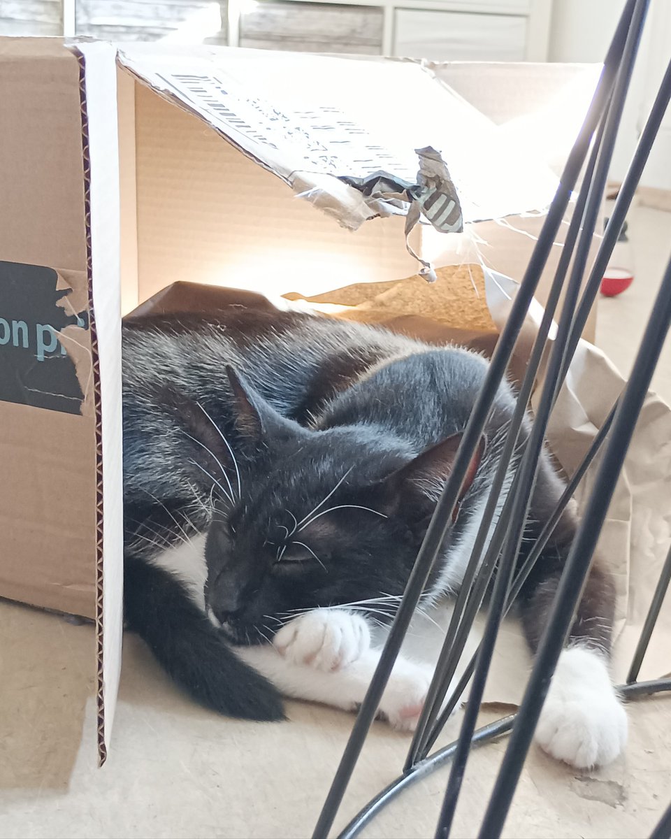 Frau Knopf (@FrauKnopf) / Posts / X, image size:960x1200