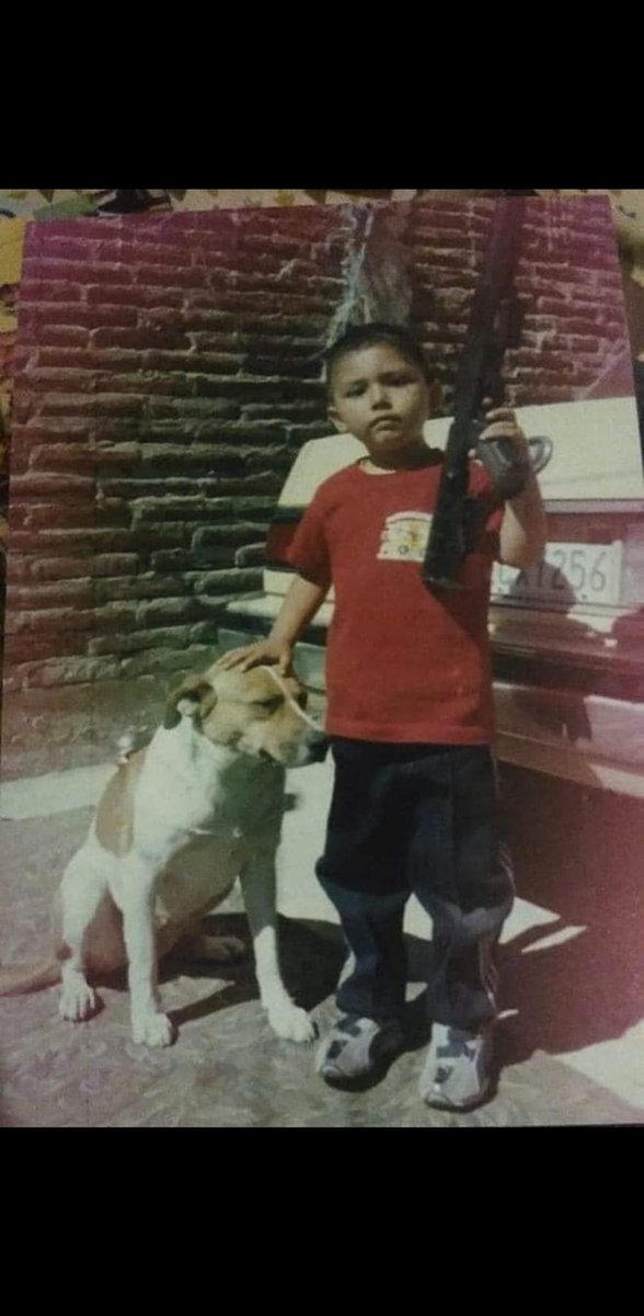 Mi mamá: hijo le pegaron a tu perro
Yo:En corto