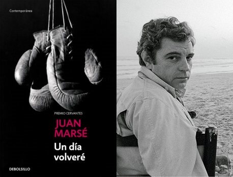 biblioteca cabrils tweet media