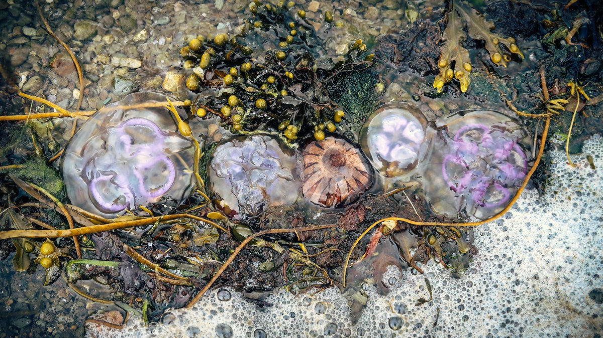 Blipfoto tweet media