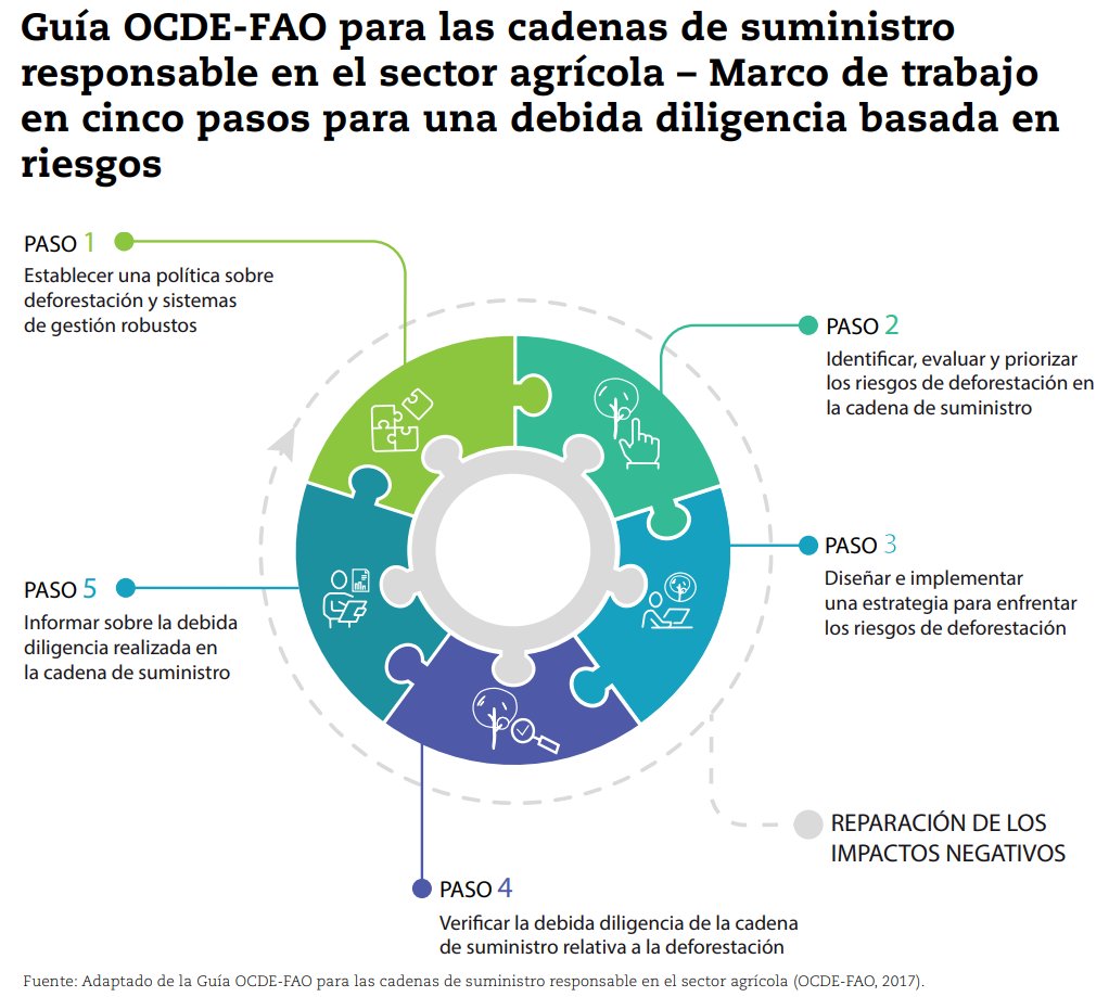 ocdeenespanol's tweet photo. 5 pasos pueden ayudar a las empresas a llevar a cabo la #debida diligencia basada en el riesgo y combatir la #deforestación.
Conoce el trabajo de la #OCDE y la #FAO sobre la conducta empresarial responsable en las #cadenas de #abastecimiento agrícolas ➡️ https://t.co/XD8NdPD9iP https://t.co/gt43mW3V12