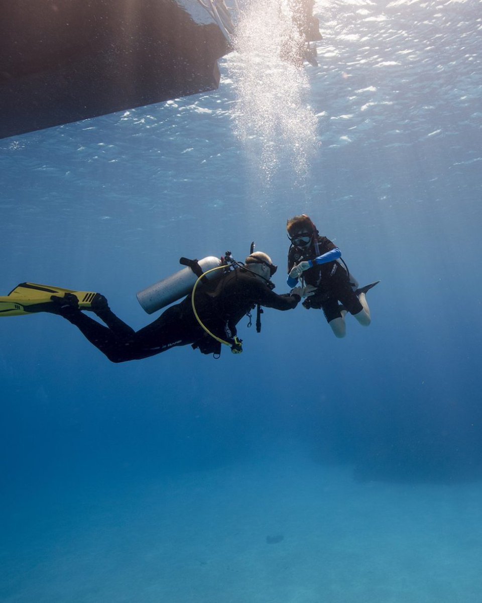 PADI on Twitter "Do you want to help shape the next generation of
