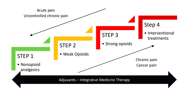 Interesting review of current strategies and techniques for #oncological #pain management.
@Hasm03 @OncologiaMX @oncotwitts 
mdpi.com/1718-7729/30/7…