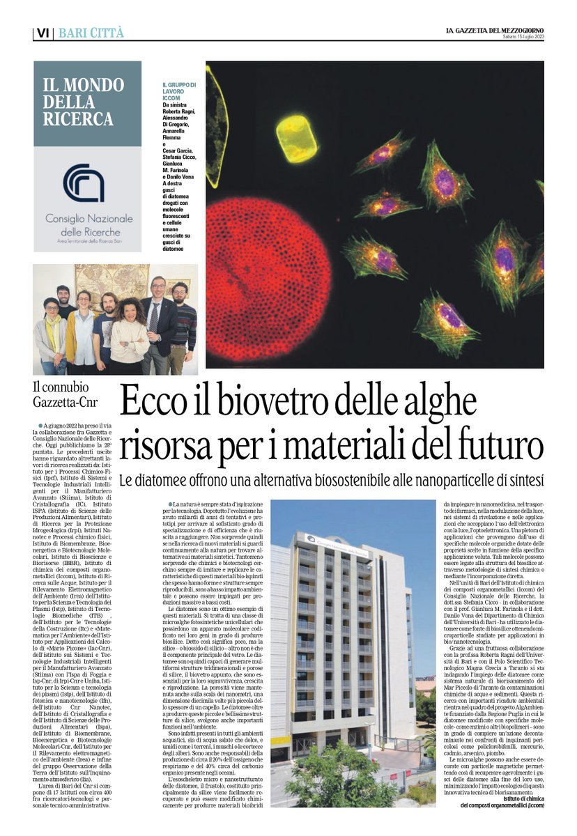 We are grateful to the @LaGazzettaWeb for featuring our research. It is an honor to share our work with a wider audience, including our efforts to create new biomaterials using diatom biosilica with great potential in optoelectronics, drug delivery and bioremediation.