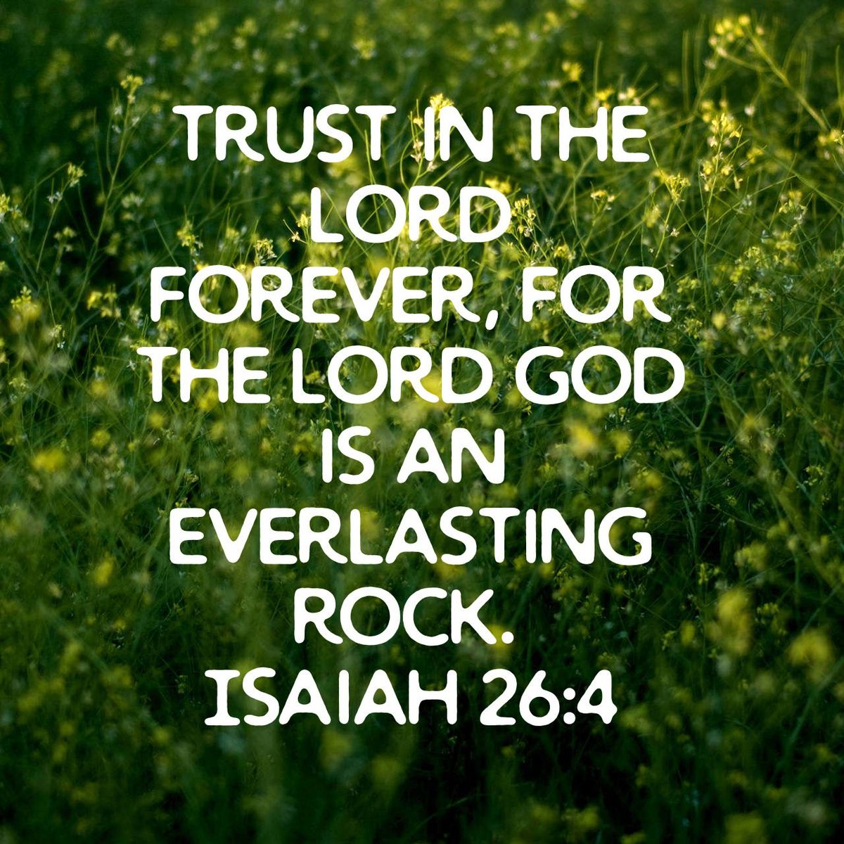 itssherstyle's tweet photo. God's steadfast presence is our anchor in every storm, guiding us through life's ups and downs. 💪💖 #FaithfulInHisPromises #EvangelismJourney #ShareTheGoodNews #GodsWordIsLife https://t.co/2svWXW6BrI