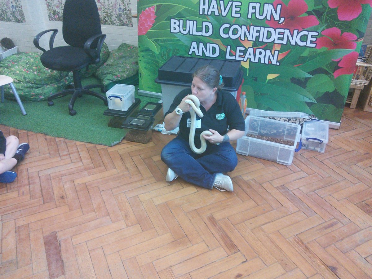 FS2Markeaton's tweet image. We were so excited to see #JungleJo this morning. Her talks were brilliant and she had amazing creatures to look at...if we were brave enough we could even hold them! #MPSSTEM🐍🐛🕷️🐸