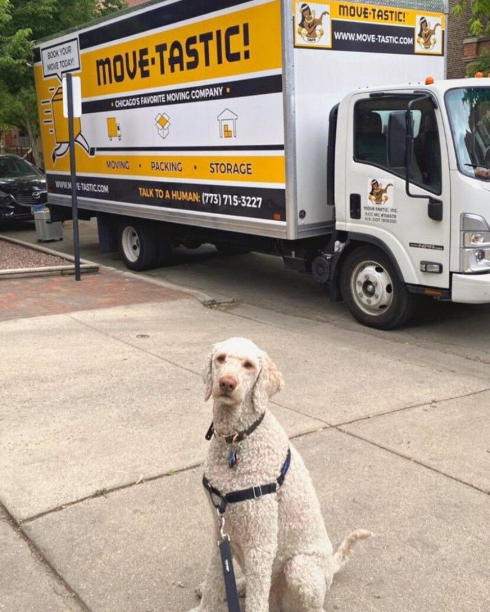 movetastic's tweet photo. Dogs with Move-tastic! Trucks make our hearts melt 😍
Get a FREE online estimate at https://t.co/7Xtqb5UPMz
#moving #movers #move #dogs #trucks #pups #driver #hiring #leader #packing #packers #pack #professionals #skill #storage #load #unload #Intra #heart #Chicago #Movetastic https://t.co/UsCbokWosj