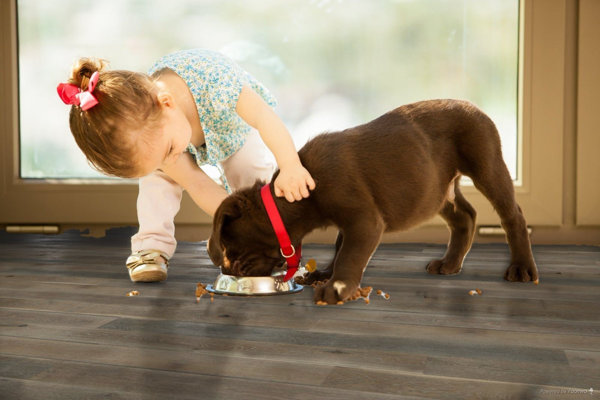 builddirect's tweet photo. Great floors don't require perfect pets. We can help find the flooring that fits your family. Shop now: https://t.co/vBn80OV7KF #Pets #Family #Flooring #BuildDirect https://t.co/E0rnbxoMyB