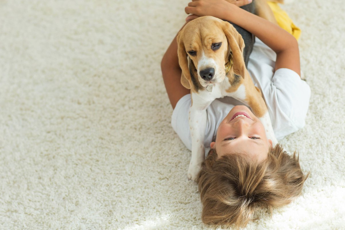 builddirect's tweet photo. Great floors don't require perfect pets. We can help find the flooring that fits your family. Shop now: https://t.co/vBn80OV7KF #Pets #Family #Flooring #BuildDirect https://t.co/E0rnbxoMyB