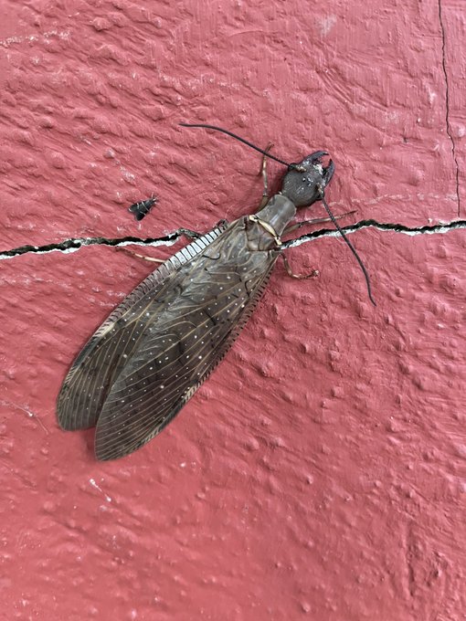 Fin de semana &hearts;️ https://t.co/w5t81WVksz