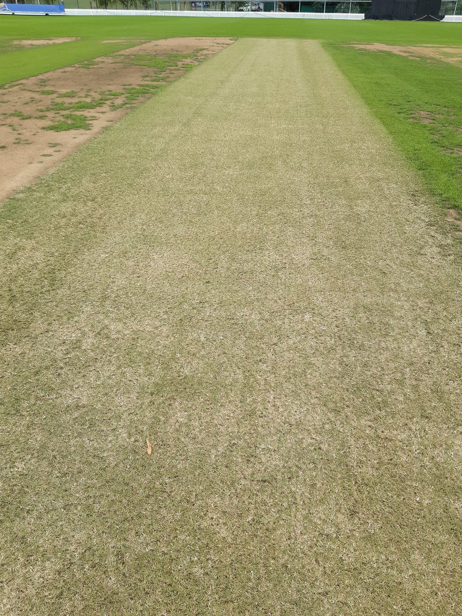 Promotebiostim's tweet image. Great to catch up with @makemcraig today and delighted he will continue with both Promote and Organo-T in his program, as are many other schools!
#makingadifferenceallyearround