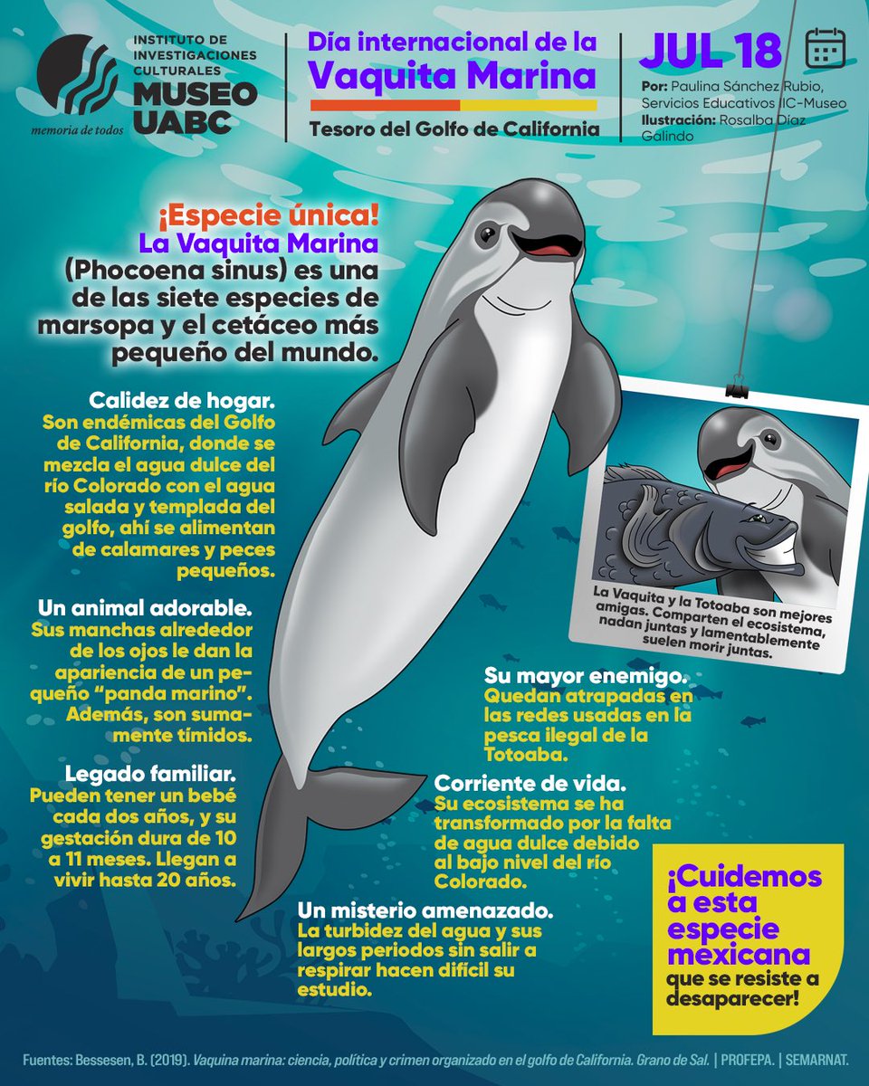 IIC-Museo UABC tweet media