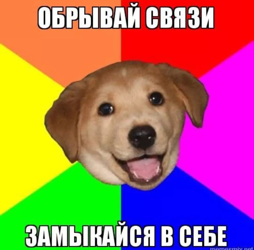 МУЗЫКА В МАШИНУ tweet media