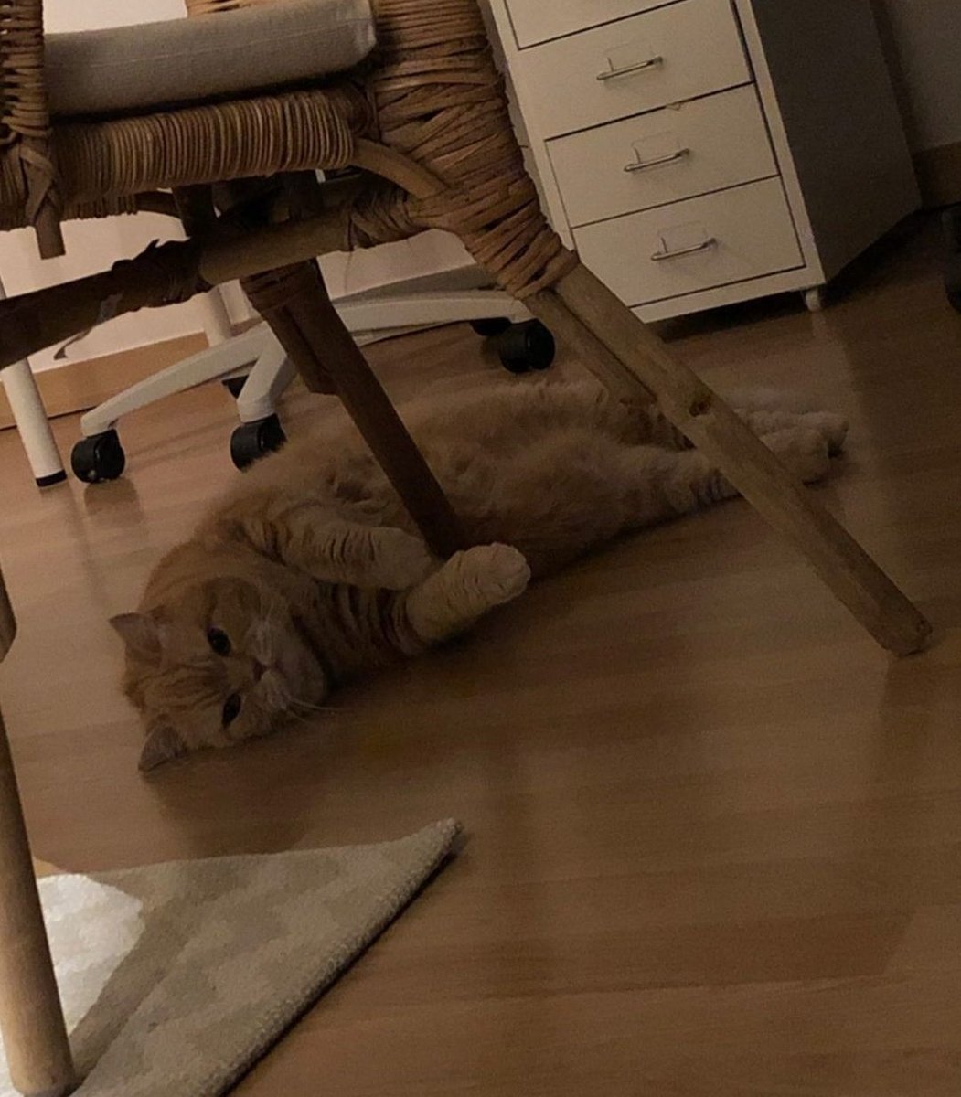 hhanniee_'s tweet photo. haksiu missing hours czesc druga https://t.co/9vLiNL0wGR