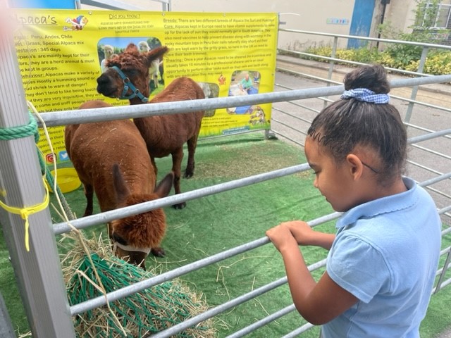 <a href="/DeltaGrangeLane/">Grange Lane Infant Academy</a> Loved the visit from Ian's Farm today <a href="/iansmobilefarm/">Ian's Mobile Farm @nannygoatfarm</a>
