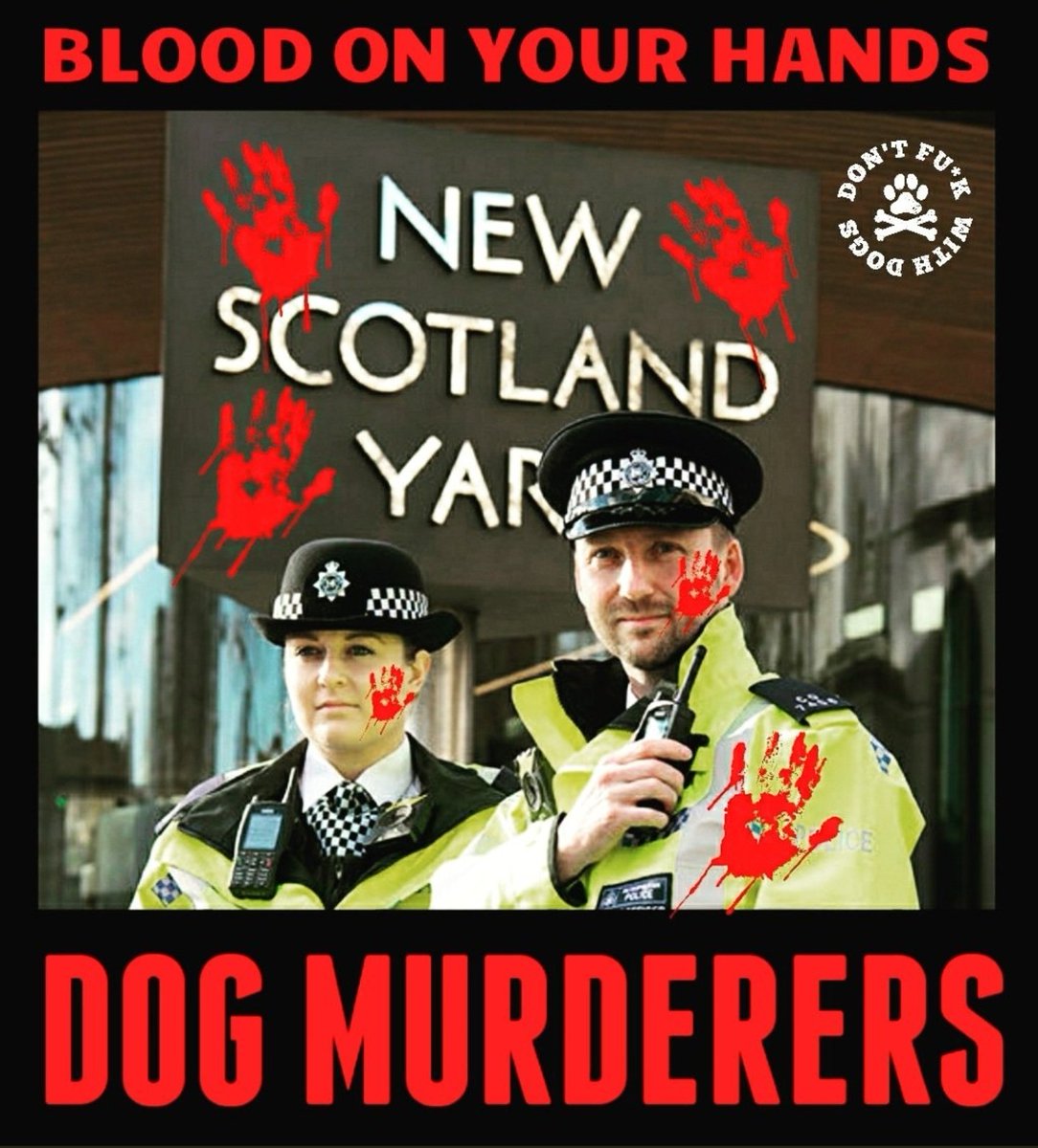 n3lly6's tweet photo. @metpoliceuk THINK BEFORE YOU SHOOT INNOCENT DOGS‼️😡 
#ThinkBeforeYouShoot https://t.co/j5BaOFzXmQ