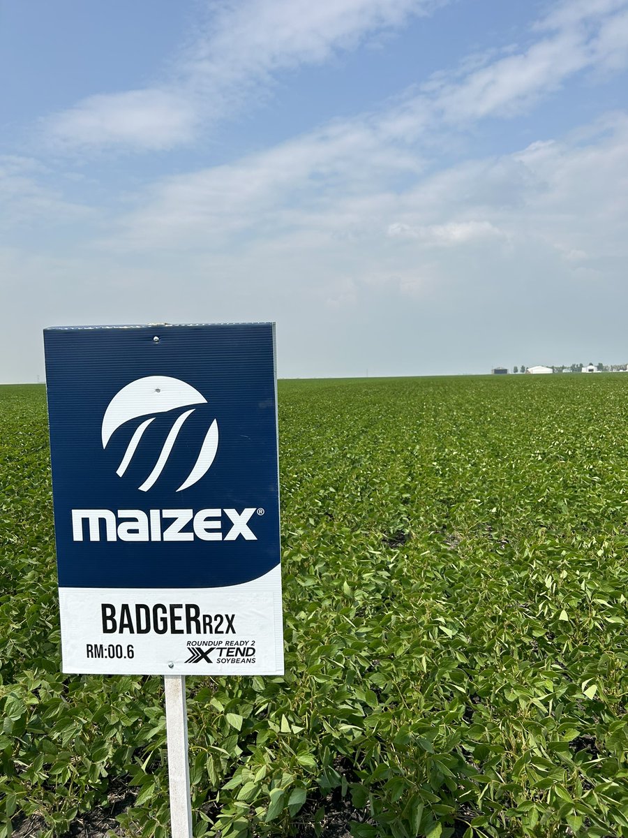 Maizex West tweet media