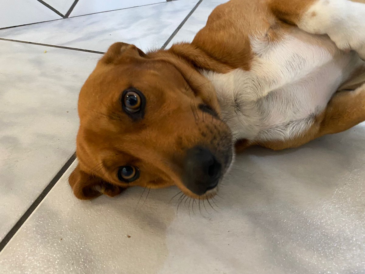 gente- meu filho é lindo 🤧