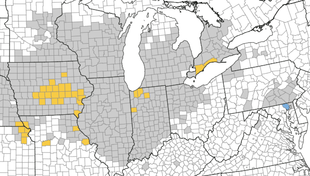 Out with <a href="/randersonBASF/">Richard Anderson</a> last night and confirmed tar spot in a few fields between Ridgetown to Thamesville at very low levels.  Now is the time to scout for tar spot and other diseases  #Ontag <a href="/DTelenko/">Darcy Telenko</a> <a href="/MartinChilvers1/">Martin Chilvers</a> <a href="/badgercropdoc/">Damon L. Smith</a>