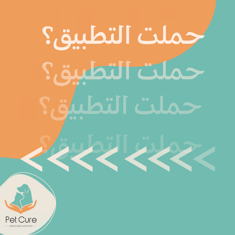 Petcure_org's tweet photo. باقي ماحملت التطبيق؟🤔🐹
خدماتنا عديدة ندلع اليفك ونجيك بسرعه رهيبة🫶🏻🚀
#pets #pet_cure #petsupply #pet_photography #petcare #pet #pethealth #petsupplies #pet_services
