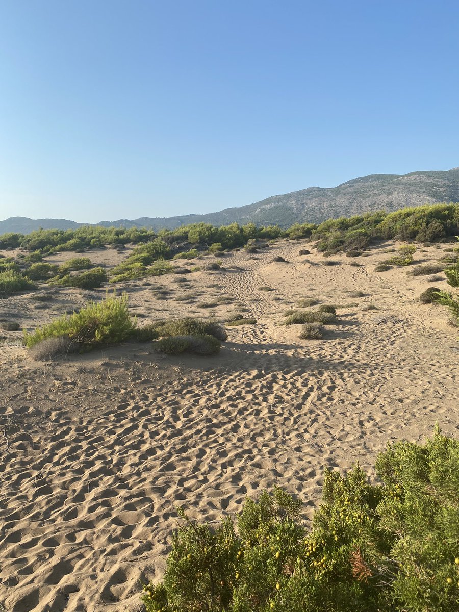 Παραλία γυμνιστών καϊάφα