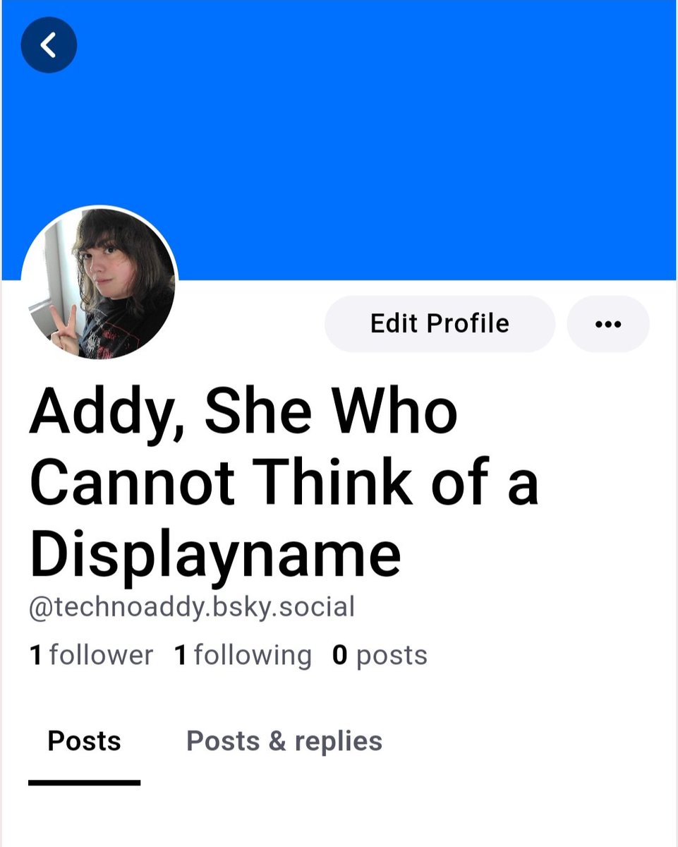 Addy, the LeBaron Baroness 🏳️‍⚧️ tweet media