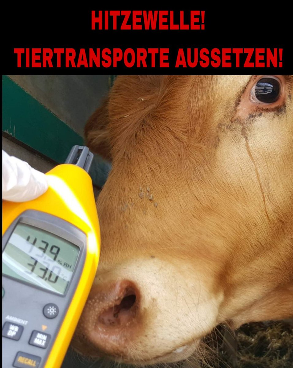 Gemeinsam für die Tiere tweet media