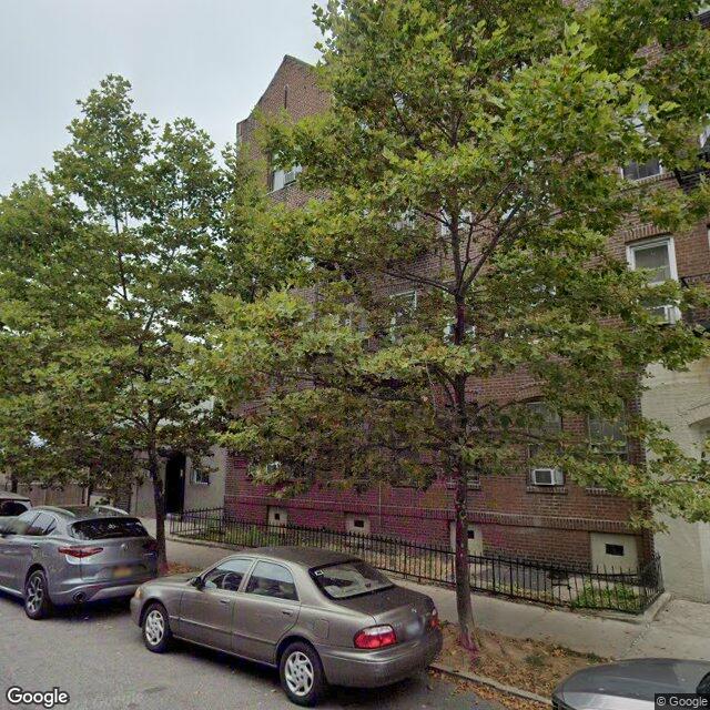 everytreenyc's tweet photo. Just another proud London planetree of Brooklyn. https://t.co/X0drLDSxSH
