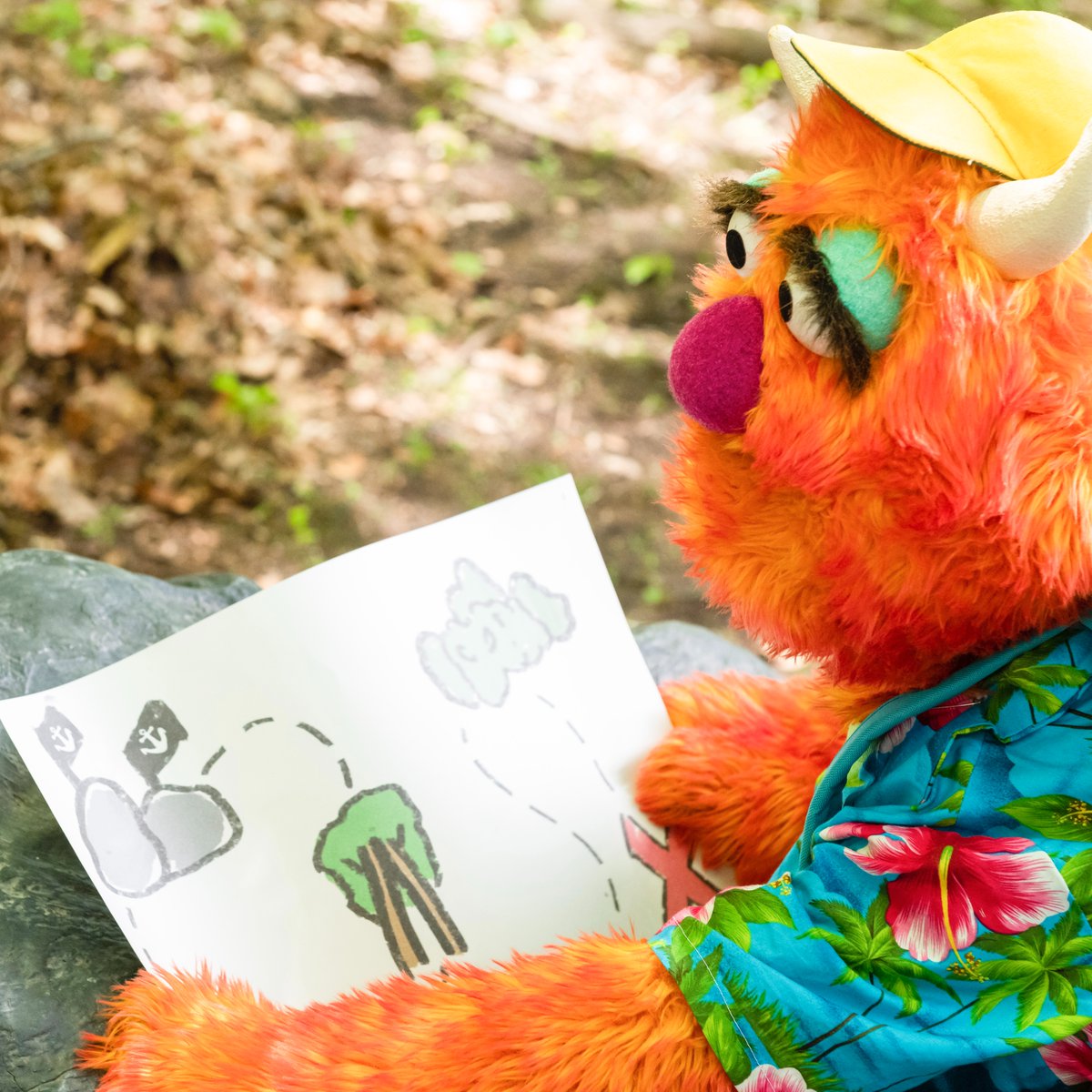 Sesame Street on Twitter: "Adventure awaits just around the corner