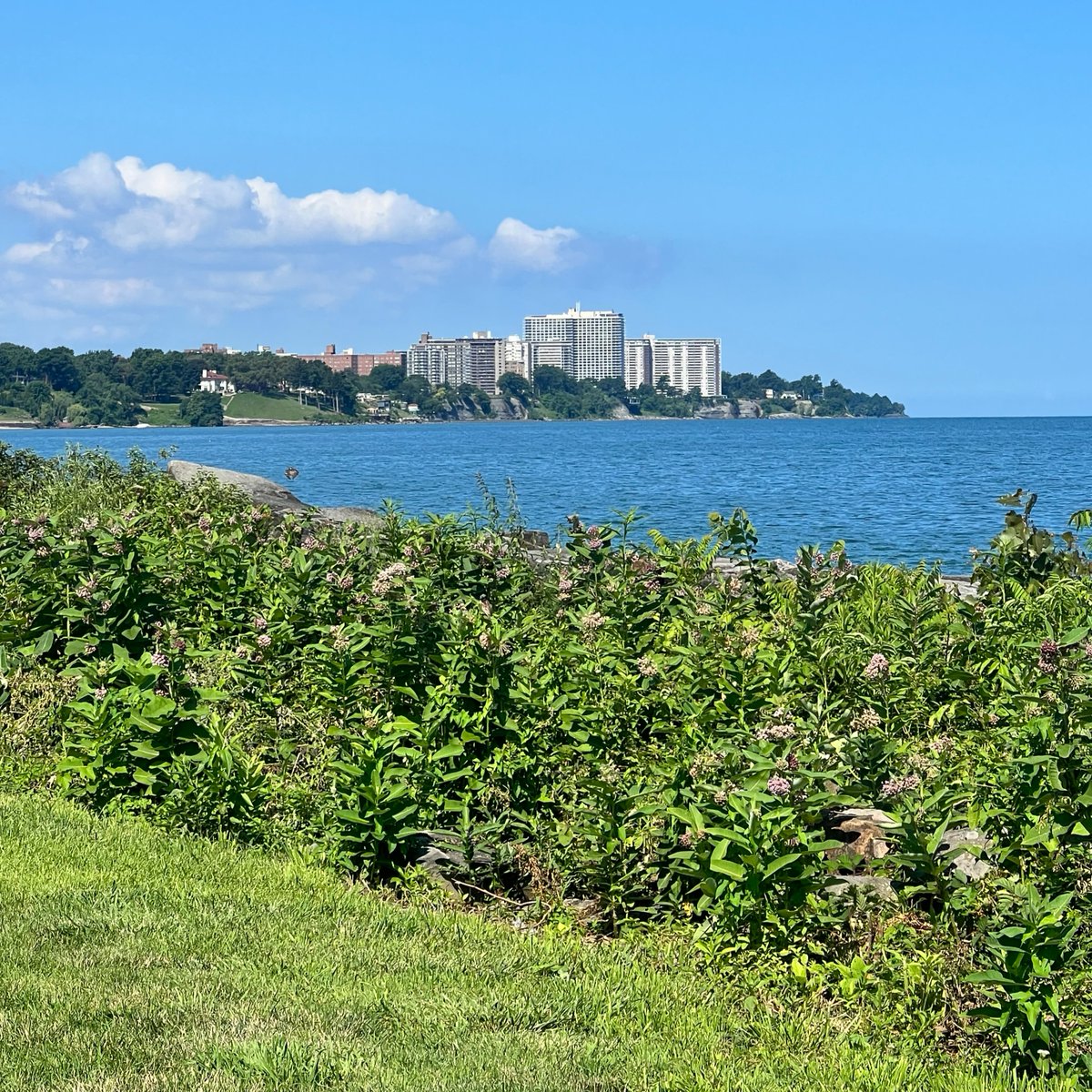 A4GL's tweet photo. It was a beautiful day on Friday at Edgewater Beach in Cleveland as Crystal M.C. Davis, VP of Policy and Strategic Engagement, brought her expertise to the forefront. She was interviewed by #wonderfilms for a timely documentary on the urgent issue of #PlasticPollution. https://t.co/6S4GL4JOHj