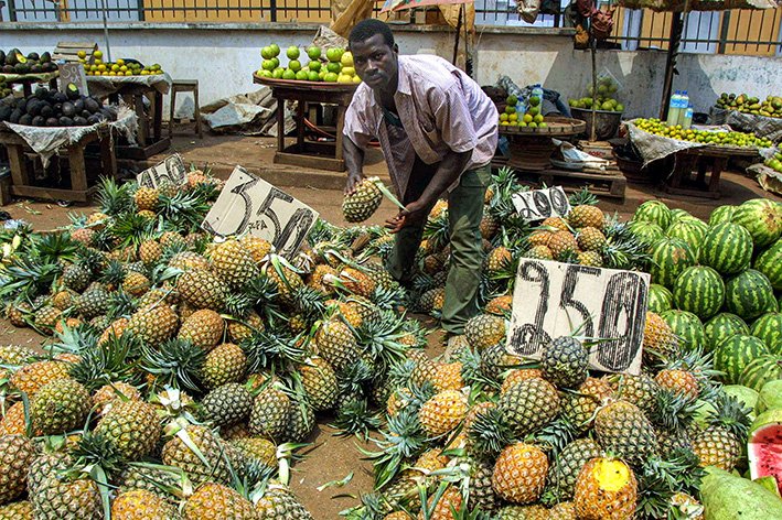 Découvrez notre sous-rubrique #agriculture dans notre rubrique #Economie &amp; #Finances avec Afrikimages Agency, la 1ère banque d'images d'Afrique centrale: afrikimages.com/agriculture/ 
#economie; #plantations #FAO #plantes