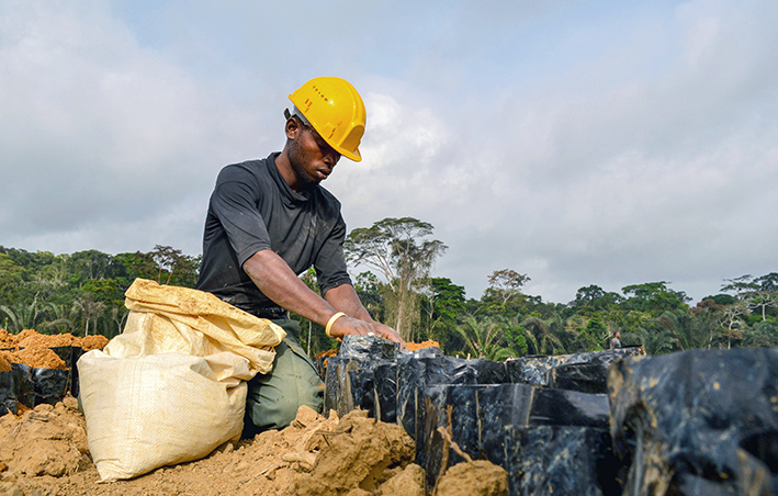 dminkoh's tweet photo. Découvrez notre sous-rubrique #agriculture dans notre rubrique #Economie &amp; #Finances avec Afrikimages Agency, la 1ère banque d'images d'Afrique centrale: https://t.co/4kxxxOaT3p 
#economie; #plantations #FAO #plantes https://t.co/GcjeFrCg1R