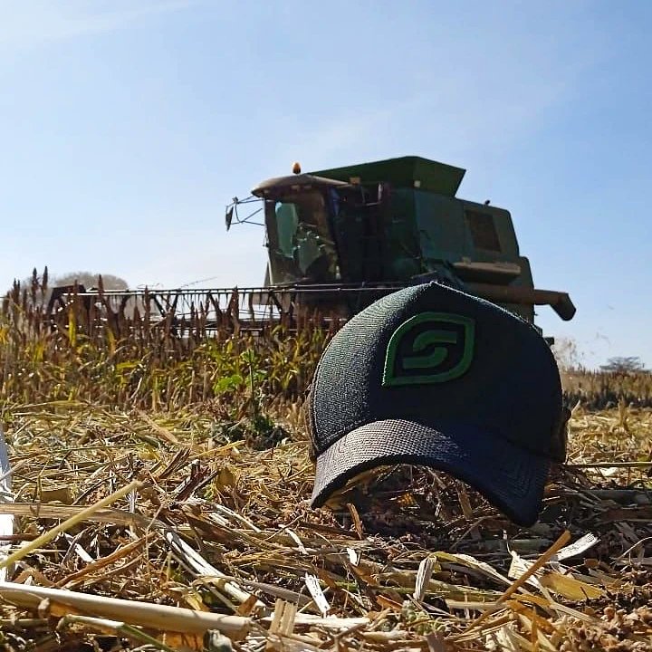 SimpleAgro's tweet photo. Colheita de sorgo 🌾🚜

Fazenda Medalha
📸 Emevaldo Junior

#colheita #simpleagro #simples #agro https://t.co/YFyURlzifc