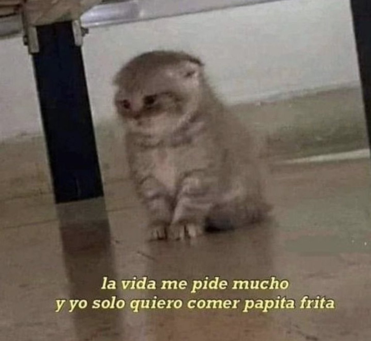 skereunpesado's tweet photo. https://t.co/EGwy8fMql3