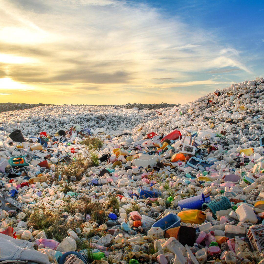 EcoPhilia_ke's tweet photo. Conservation Tip of the Week: Reduce Plastic Waste π
Embrace Reusable Alternatives! Swap single-use plastic items with reusable alternatives to reduce plastic waste.
Together, we can make a difference!
#ConservationTip #PlasticFreeLiving πΏπ https://t.co/ACpLWWXuCA
