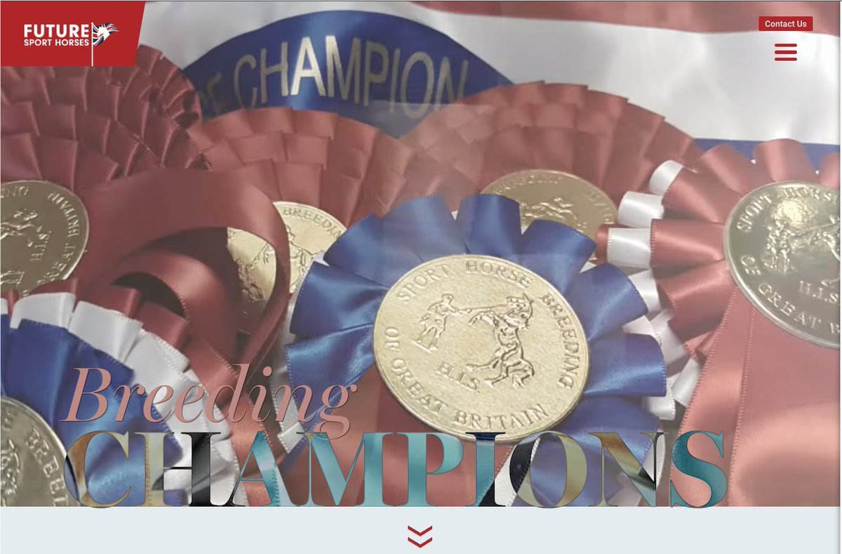 Our NEW WEBSITE is now live!  We would love to hear from you about what you think to it :) !
mailchi.mp/25672c85540d/n…