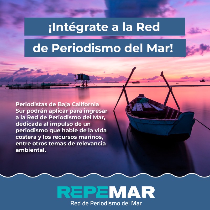 CausaNatura's tweet photo. ¿Eres periodista, vives en Baja California Sur y te apasionas por el medio ambiente y la vida costera?

¡Esta convocatoria es para ti! Formar parte de #Repemar 🌊 en Baja California Sur.

Enviar tus documentos a periodismodatos@causanatura.org y dreyes@causanatura.org