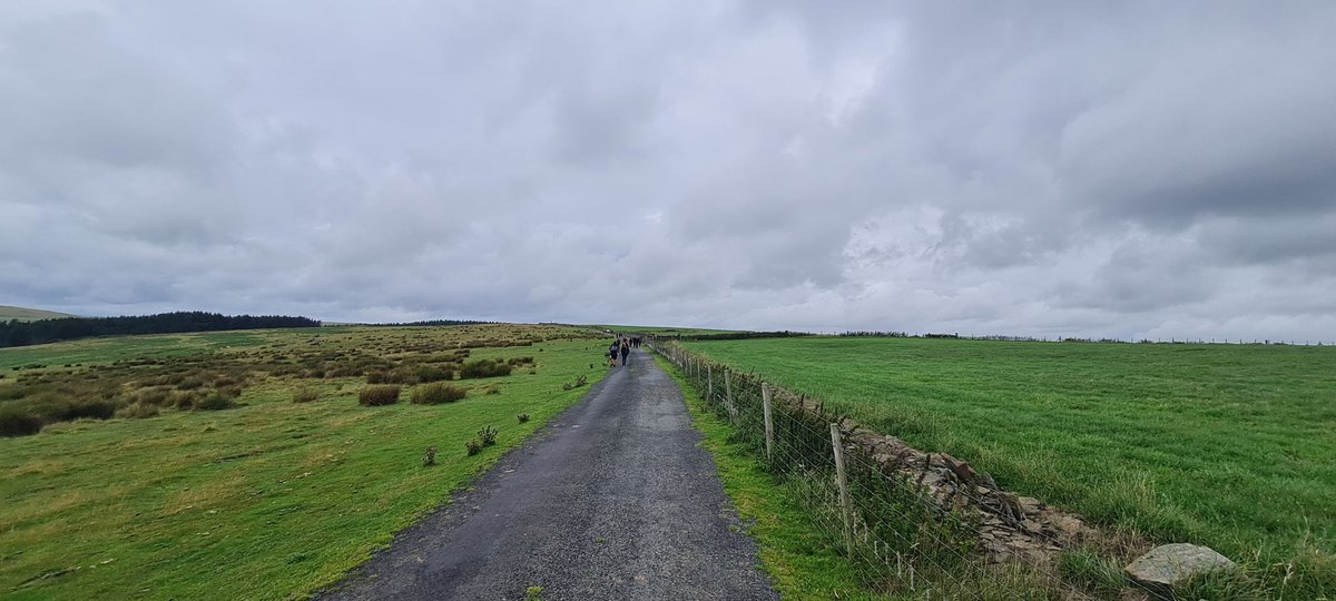 Idris Davies School Art Department tweet media