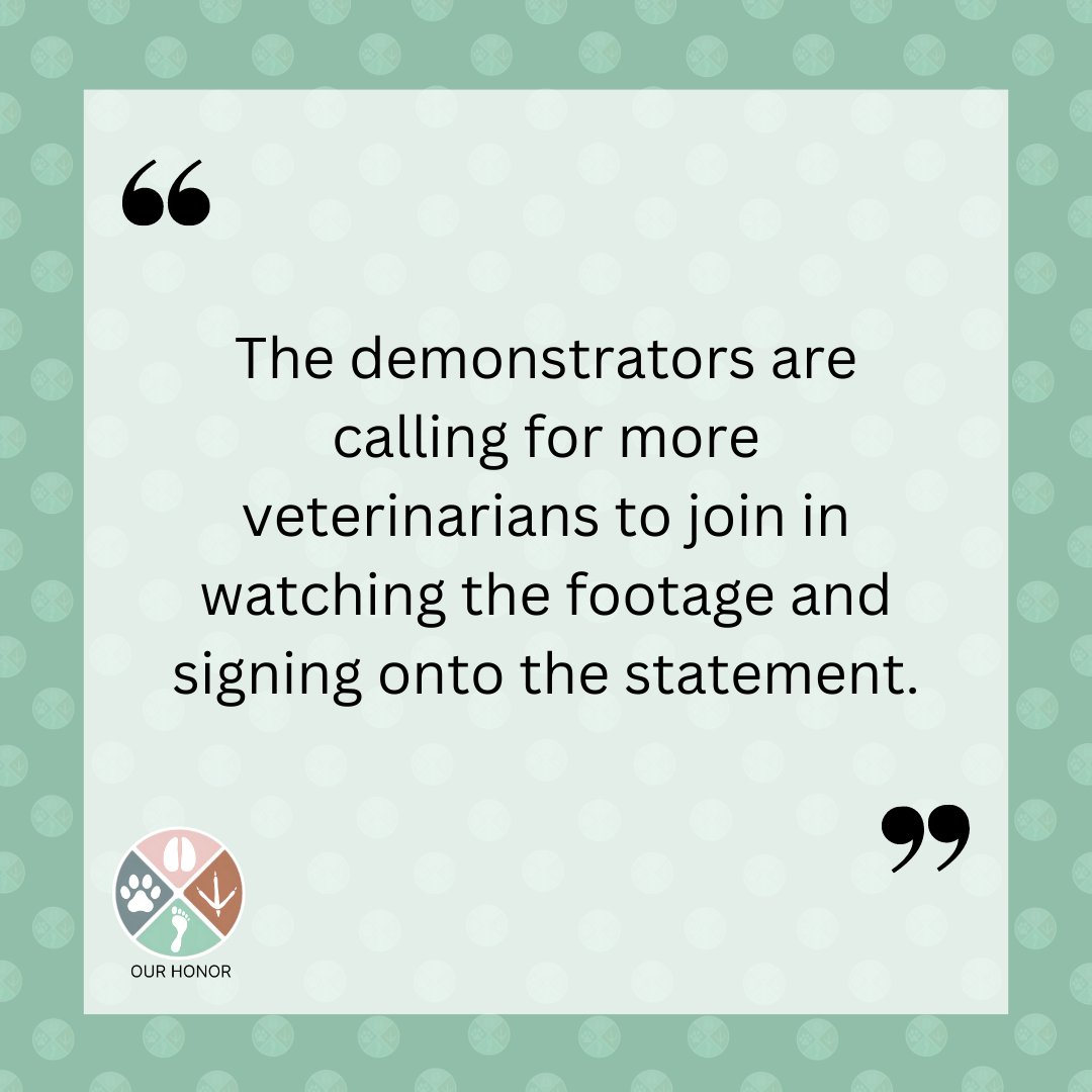 OurHonorVets's tweet photo. Animal advocates show real footage of how pigs are killed in gas chambers in slaughterhouses outside the 2023 American Veterinary Medical Association Convention.
The full article and the executive summary at link in bio.
#avma2023 #humaneslaughter #animalwelfare #stopgaschambers #vegan #animalrights #vetmed #veterinarymedicine #stopanimalexploitation