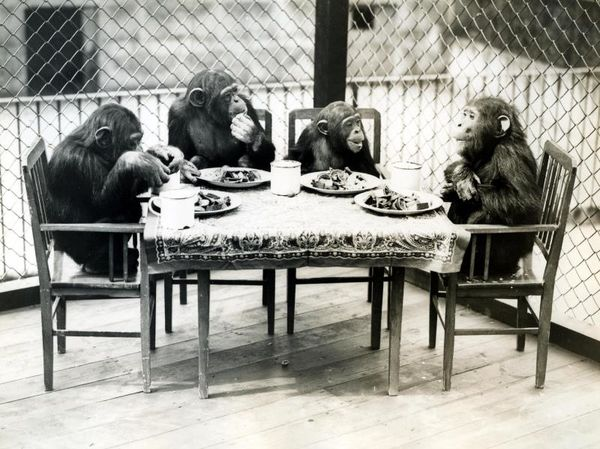 MikeCovell's tweet photo. I see Hull's traffic planners have called an emergency meeting. https://t.co/ZZZihqRqUP