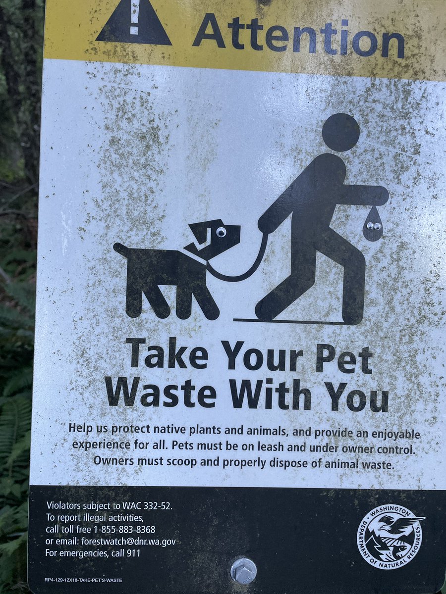 waDNR's tweet photo. Ok which one of you did this https://t.co/TyedAhFpHV