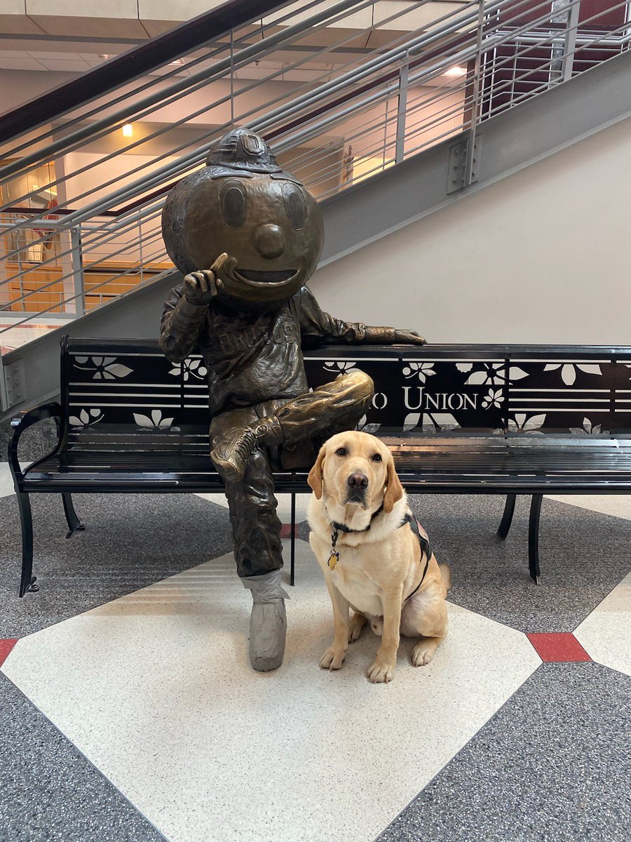 Brutus loves all of his visitors, but we’d be lying if we didn’t admit that service dogs like Dil are among his favorites!