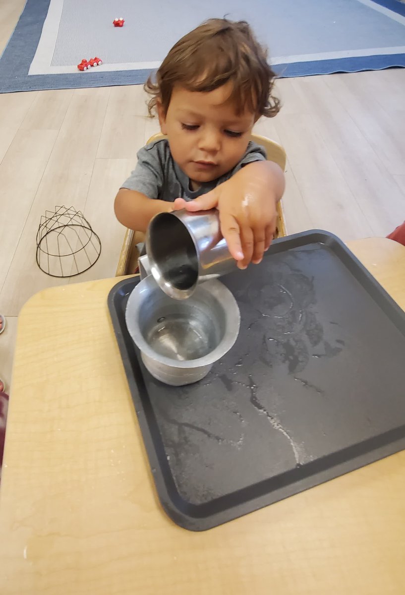 VMPPolaris's tweet image. “The first aim of the prepared environment is, as far as it is possible, to render the growing child independent of the adult.” - Maria Montessori 

#montessori #practicallife #pouring #independence #finemotorskills #polaris