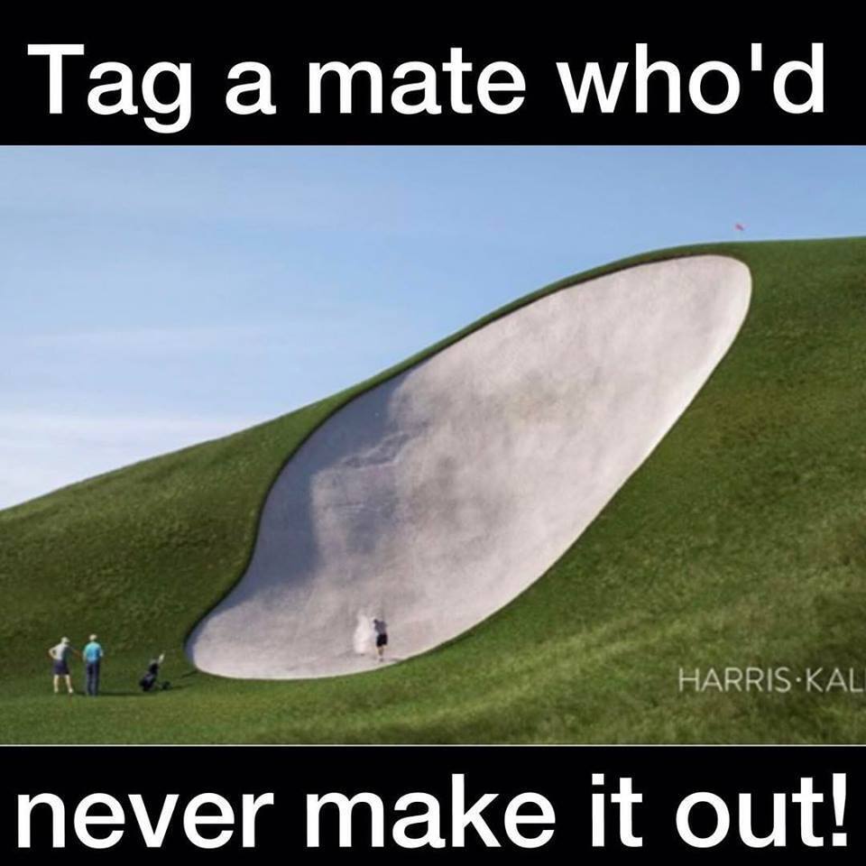 TidewaterGC's tweet photo. Lol keep tagging a #GolfFriend! #MyrtleBeach 📷📷📷 #MyrtleBeachGolf #NorthMyrtleBeachGolf #TidewaterGolfClub #southcarolina 📷📷📷 #TidewaterGolfClubExperience #southcarolinagolf #golfcourse 📷📷📷 https://t.co/doQyICTzih