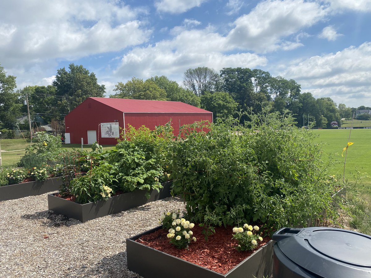 M_Lestina's tweet photo. Beautiful day for some gardening! The squash and watermelons have officially escaped the raised beds! #ICCSD #TSTL #SchoolGarden @JBacon23 https://t.co/91gdSKQVMo