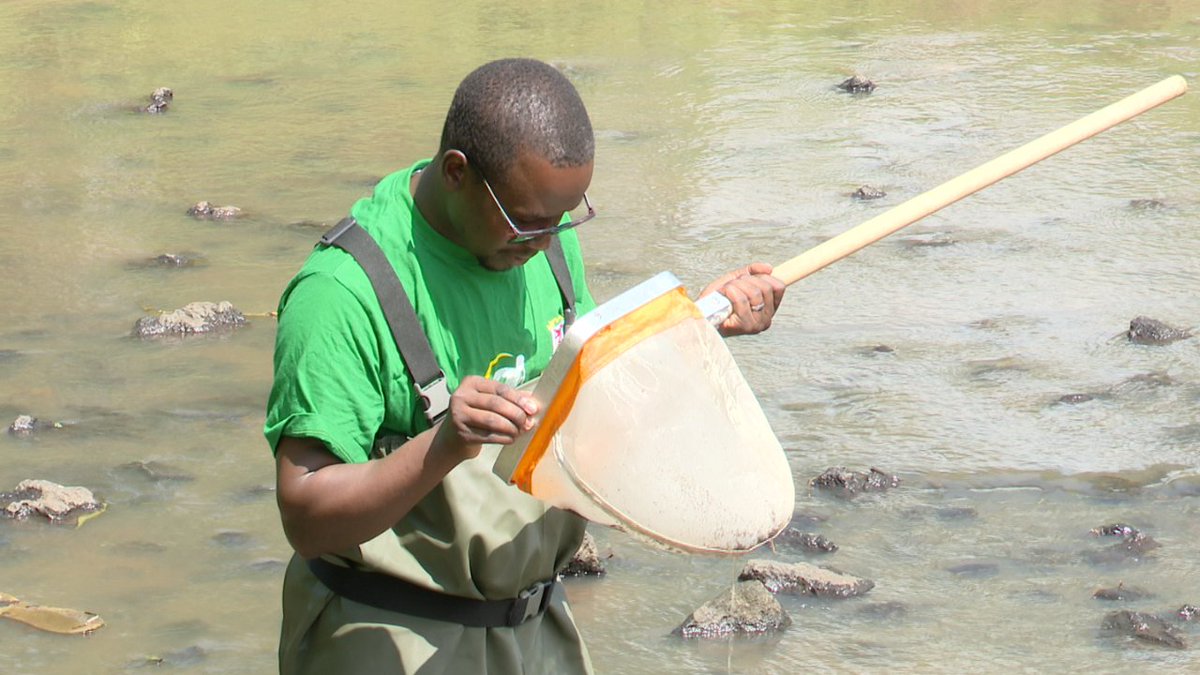 Excited to share my latest feature with you. It's a story about River Ndarugu, the lifeline of Lake Nakuru! 

Click the link below to explore the initiatives addressing the river's challenges: 
kassfm.co.ke/digital/index.…

  #NjoroRiver #EnvironmentalEfforts