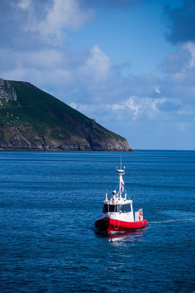 HMS Protector tweet media
