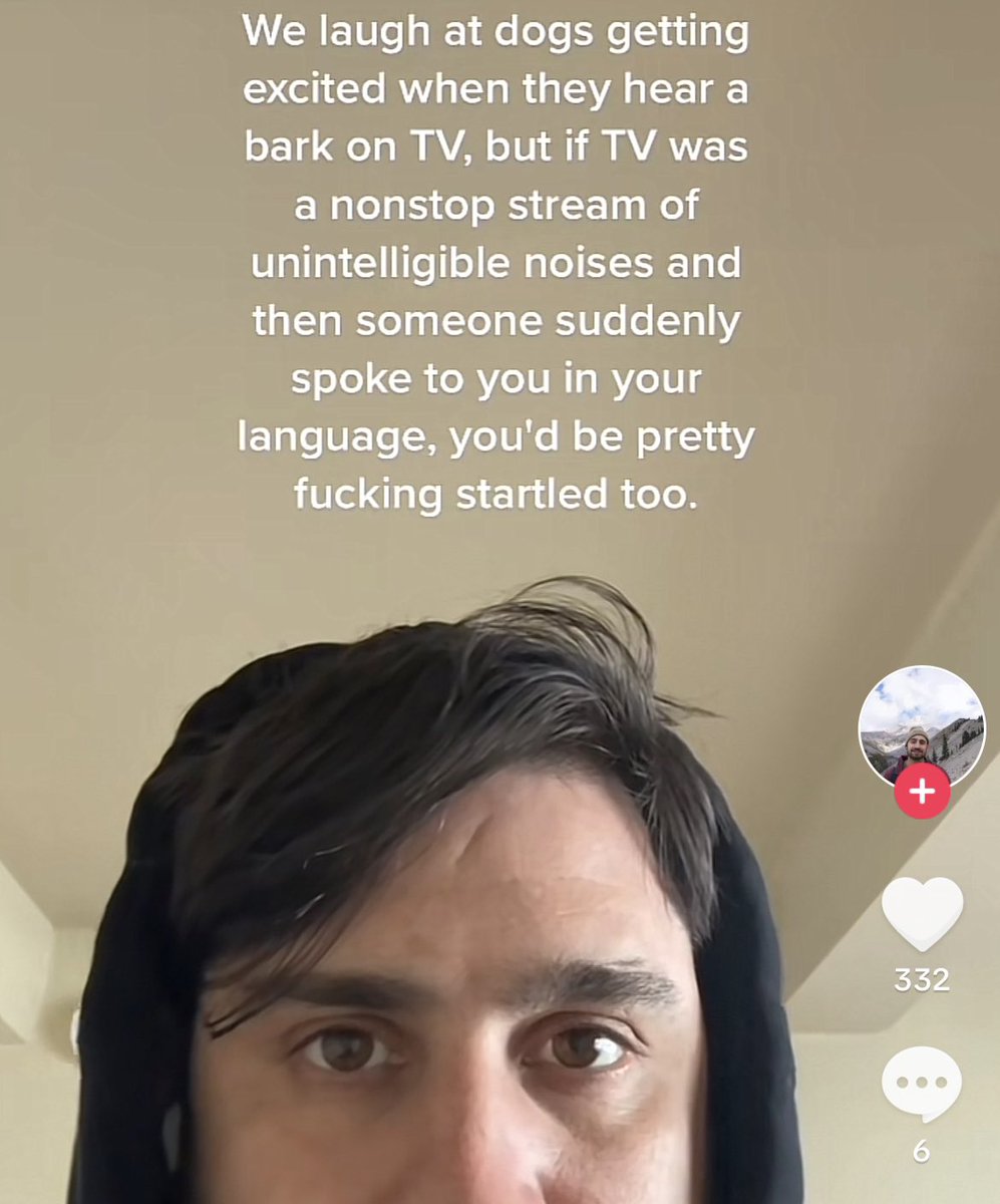 Wild TikToks (@wildtiktokss) on Twitter photo 