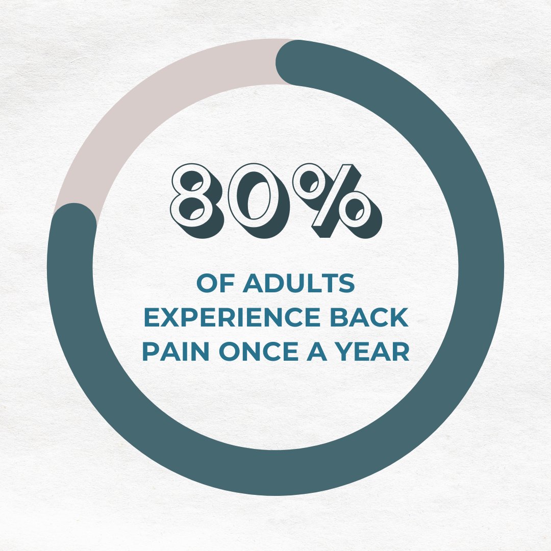 ActiveLifeVA's tweet photo. Over 80% of adults experience back pain at least once a year. Come into our office to get your nervous system checked and help prevent future injuries.

#chiropractic #chiro #wellness #health #nervoussystem #holistic #healthcare #backpain https://t.co/dqU0R0oCJC