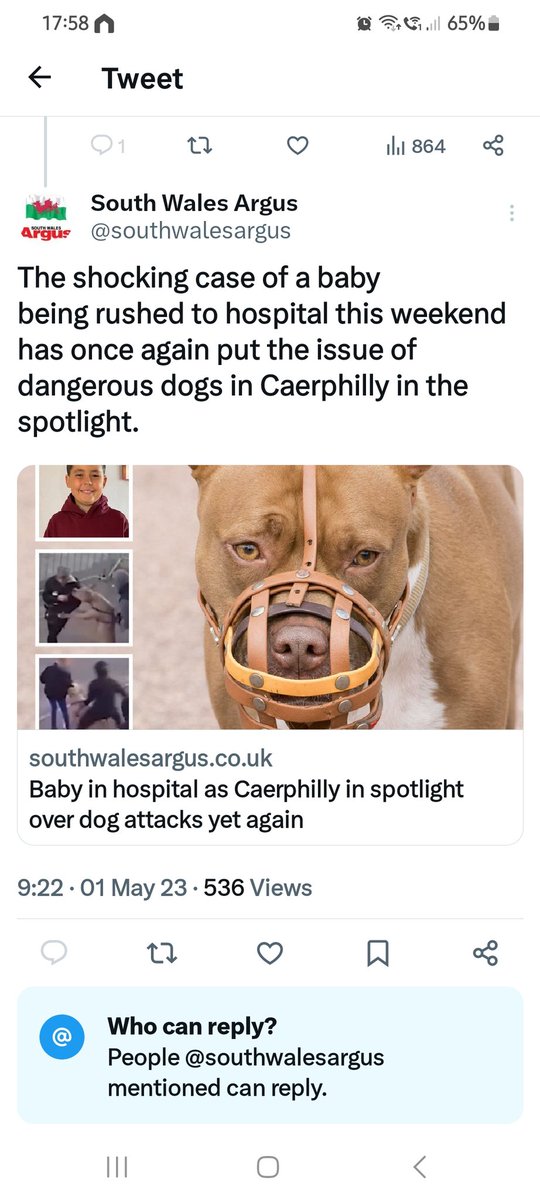 Samiuscoco's tweet photo. @southwalesargus
Using a photo of a dog not involved with the article is wrong
Did you get lola's owners permission to use a photo of her in an awful post that has nothing to do with her? Do better! #endbsl https://t.co/wzaBiyzHw7